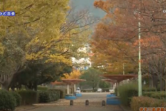 街かど百景：伊予三島運動公園