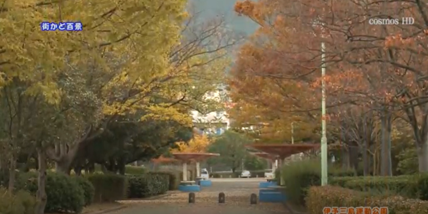 街かど百景：伊予三島運動公園