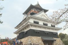 市内各地で桜まつり開催