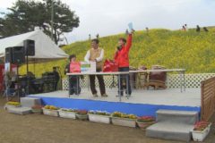 翠波高原　菜の花まつり２０１５