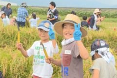 第１１回四国中央市学校給食米収穫祭