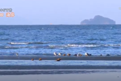 街かど百景：野田　海岸