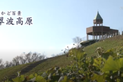 街かど百景：翠波高原