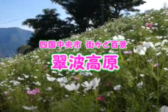街かど百景：翠波高原