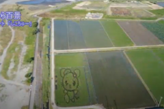 空から百景：田んぼアート「しこちゅ～」