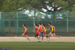 平成29年度　中学校新人体育大会　陸上競技