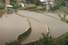 街かど百景：川滝町　棚田