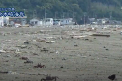 街かど百景：余木崎海岸
