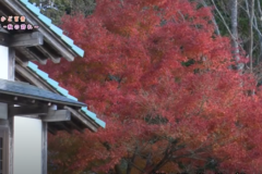 街かど百景：富郷～秋の訪れ～