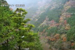 空から百景：別子ライン