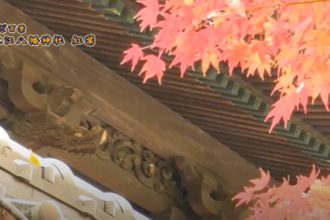 街かど百景：川之江八幡神社　紅葉