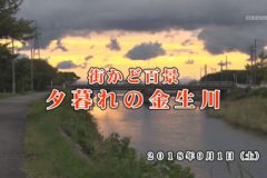 街かど百景：夕暮れの金生川