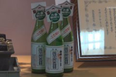 梅錦　立春朝搾り