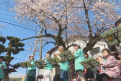 桜の木のしたで 花まつりコンサート