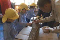 Ｅｖｅぽけ：地域支援サークル「茶れんじ」しいたけの菌打ち作業・料理教室