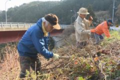 Ｅｖｅｎｔぽけっと：国道３１９号線　植樹