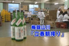 Eveポケ：梅錦山川「立春朝搾り」