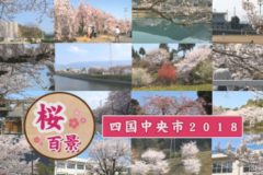 桜百景　四国中央市２０１８