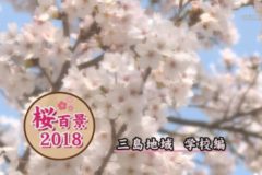 桜百景2018　三島地域　学校編