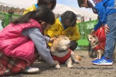 街かど百景：ジャジャわん祭り＆じく