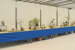 第50回緑風展