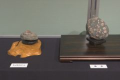 美術館：第１３回 愛石のススメ展