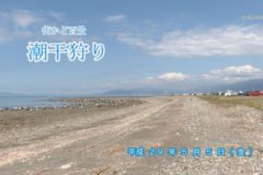 街かど百景：潮干狩り