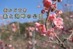 街かど：森と湖畔の公園