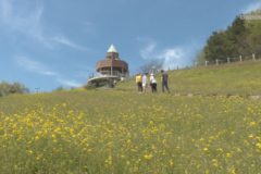 翠波高原　菜の花まつり２０１８