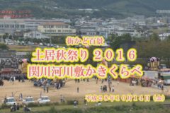 街かど百景：土居秋祭り２０１６ 関川河川敷かきくらべ