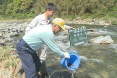 Ｅｖｅぽけ：銅山川に稚鮎放流