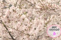 街かど百景：２０１７年　春