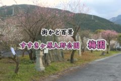 街かど百景　すすきヶ原入野公園　梅園