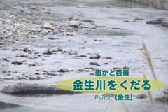 街かど百景　金生川をくだる part2 (金生)
