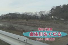 街かど百景　金生川をくだる part3 (川之江)