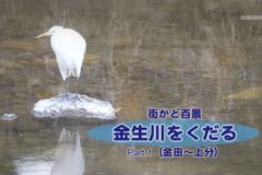 街かど百景　金生川をくだる　part.1 (金田～上分)