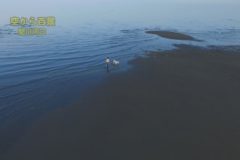 空から百景：関川河口