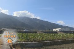 2015　四国中央市　秋