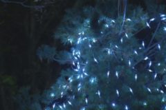 街かど百景　具定展望台　夜景