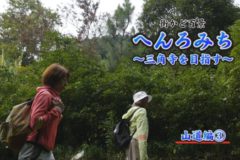 街かど百景：へんろみち～三角寺を目指す～山道編③