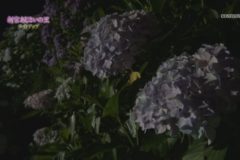 街かど百景　新宮あじさいの里（ライトアップ）