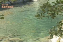 街かど百景　乳母御前神社