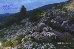 空から百景：新宮あじさいの里