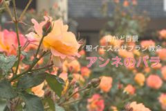 街かど百景　聖イエス教会サフラン教会　アンネのバラ