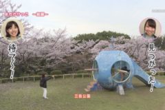 まちかけっこ～桜編～