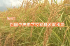 Ｅｖｅぽけ：第９回四国中央市学校給食米収穫祭
