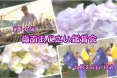 Ｅｖｅぽけ：第１６回嶺南あじさい鑑賞会