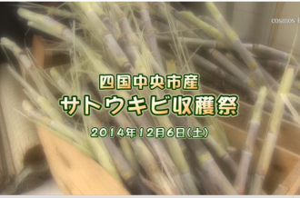 Ｅｖｅぽけ：四国中央市産　サトウキビ収穫祭