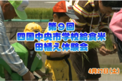 Ｅｖｅぽけ：第9回四国中央市学校給食米田植え体験会