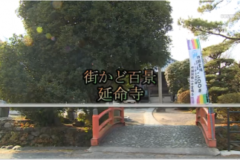 街かど百景：延命寺